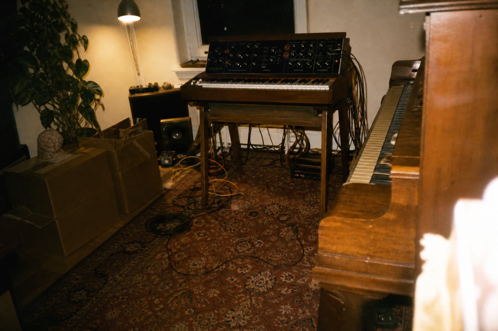 Karlo Vidović's room
